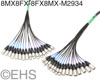 Mogami 2934 16 Channel XLR-M XLR-F to XLR-F XLR-M snake, EHS-Built