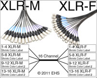 Mogami 2934 16 Channel XLR-M to XLR-F snake, EHS-Built
